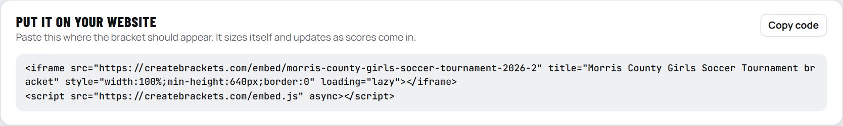 The website code box with a Copy code button